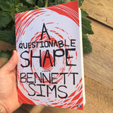 A Questionable Shape by Bennett Sims