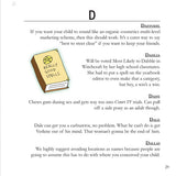 Two Dollar Radio Guide to Naming Your Baby by Travis Hoewischer, D namestext