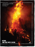 Front cover of Nothing by Anne Marie Wirth Cauchon