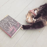 Haints Stay book by Colin Winnette with cat